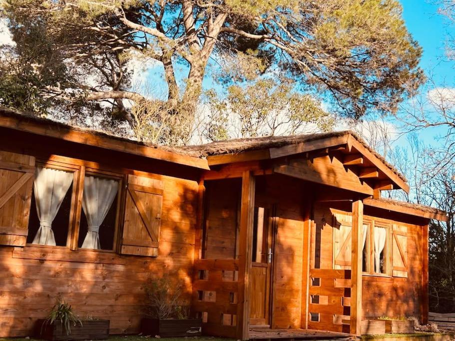 Chalet Bois Jacuzzi Bessan 外观 照片
